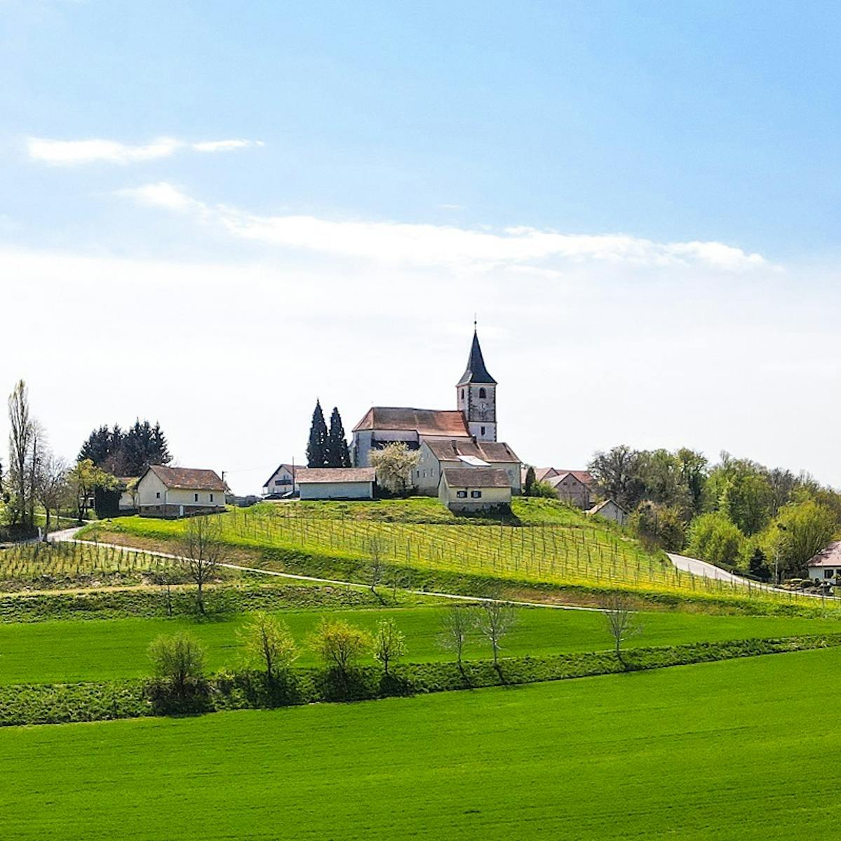 Sveti Andraž